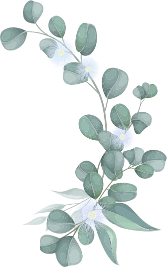 Kainat & Fahad Wedding on 27 October 2022 on islamabad pakistan ,  Mrs Naseer Ahmad Mirza, Mr &. Mrs Mirza Saeed Ahmad , Wedding Ceremony on 27th October on Thursday