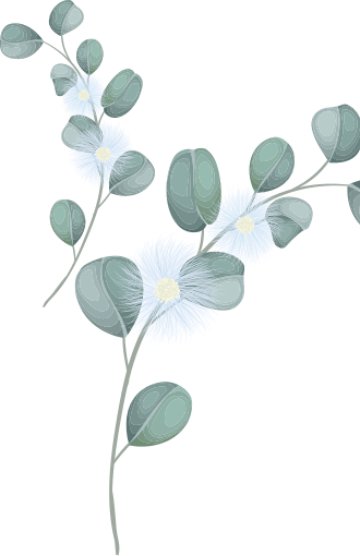 Kainat & Fahad Wedding on 27 October 2022 on islamabad pakistan ,  Mrs Naseer Ahmad Mirza, Mr &. Mrs Mirza Saeed Ahmad , Wedding Ceremony on 27th October on Thursday